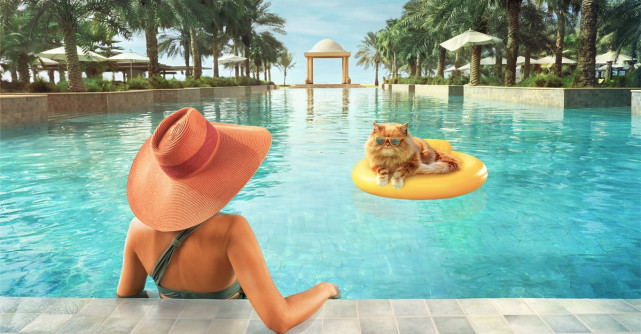 EMIRATUL RAS AL KHAIMAH LANSEAZĂ O NOUĂ CAMPANIE DE PROMOVARE A DESTINAȚIEI, AVÂND CA PROTAGONISTĂ O PISICĂ SIMPATICĂ