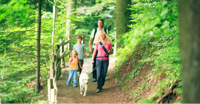 Drumețiile, un hobby pentru toată familia
