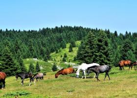 Destinatii turistice Romania: 4 locuri spectaculoase care par a fi scoase dintr-un volum de basme