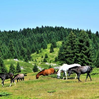 Destinatii turistice Romania: 4 locuri spectaculoase care par a fi scoase dintr-un volum de basme