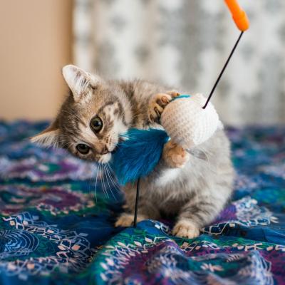 Cele mai interactive jucarii pentru pisici 