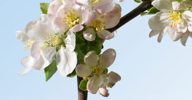 Puterea miraculoasa a apei. Nu esti bolnav, doar insetat! 