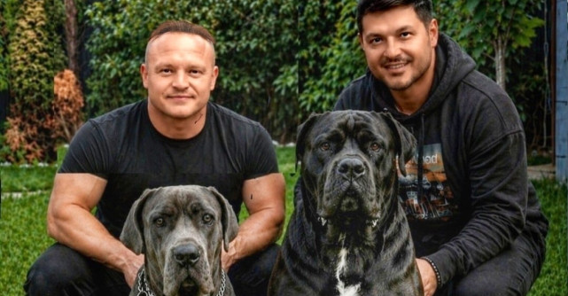 Vârciu și Pepe, duel total! Miza uriașă: cine va avea viitorii campioni Cane Corso?