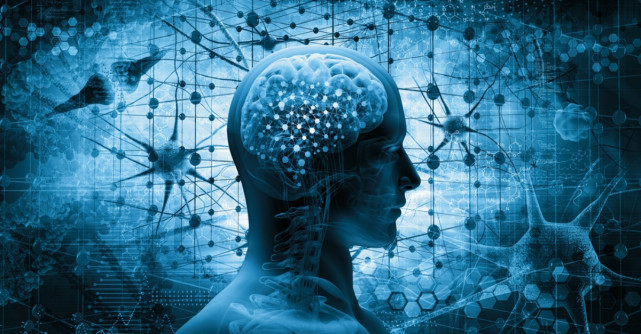 Curiozităţi despre creier pe care nu le ştiai