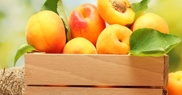  Tratamente naturiste cu caise