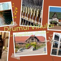 Hai pe drumul vinului, în Republica Moldova, într-o călătorie de cuplu sau în familie!