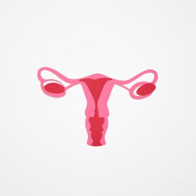 Semne că ovocitele tale au o calitate scăzută. Posibile cauze și metode de tratament