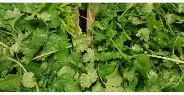 Dieta cu patrunjel. Cate kilograme puteti slabi intr-o singura saptamana