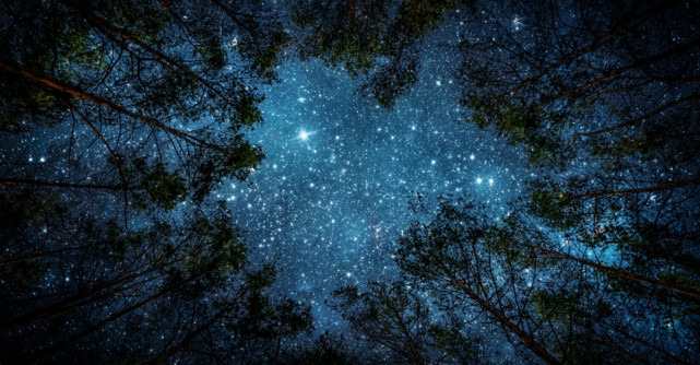 9 Lectii de viata nemuritoare de invatat din natura