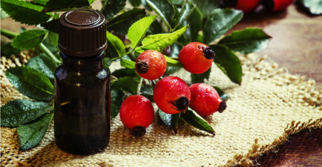 Macesele si nebanuitele lor beneficii