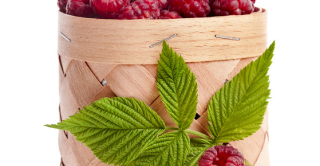 Zmeura - Medicamentul Pamantului