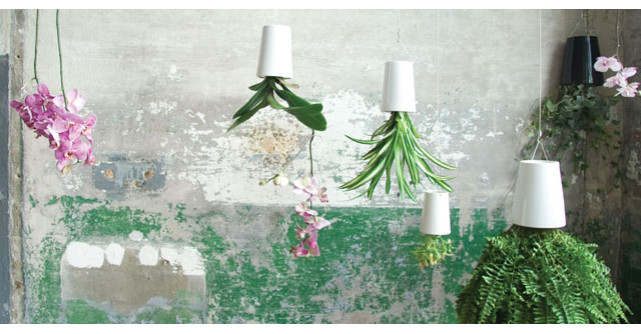 Ghivecele care sfideaza gravitatia: decoreaza cu Sky Planters! 