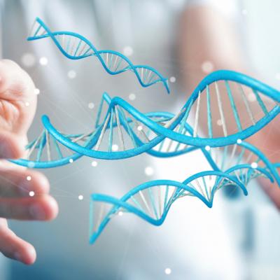 Patru pași pentru a-ți crea realitatea cu ajutorul ADN -ului tău