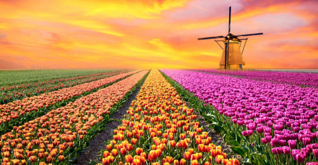 8 Imagini care ne demonstreaza ca Mama Natura nu are nevoie de Photoshop