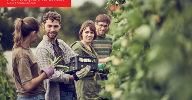 Fundația Auchan alocă peste 110.000 euro pentru 3 ONG-uri din România care promovează accesul la o alimentație sănătoasă 