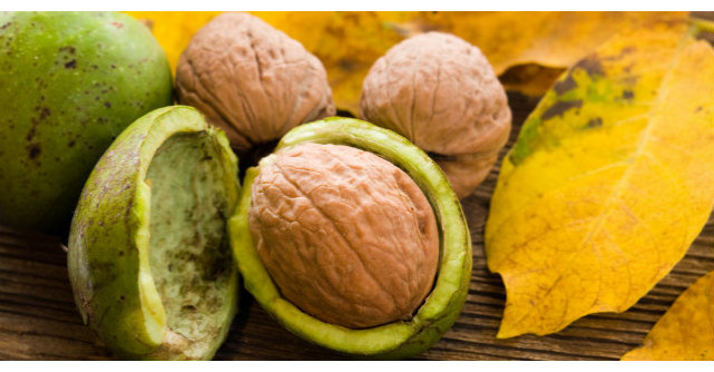 Beneficiile nucilor pentru sanatate