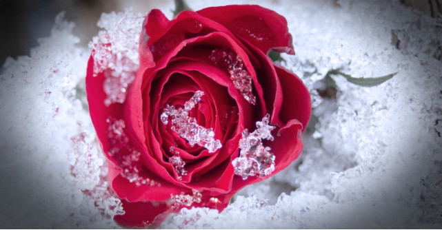 Astrologie: Horoscopul dragostei pentru luna februarie 2017