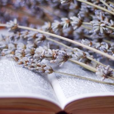 Plante si miresme biblice. Hrana pentru suflet si trup 