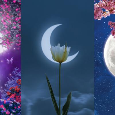 Alege o lună de primăvară și descoperă ce ți-a pregătit Universul pentru următoarele luni din 2021