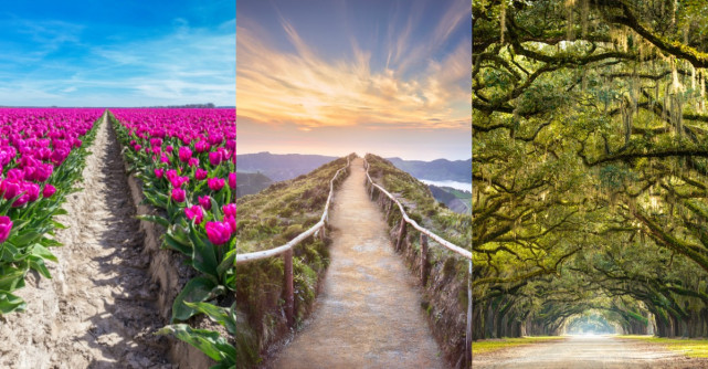 Alege o carare si noi iti vom spune cum va fi aceasta vara pentru tine