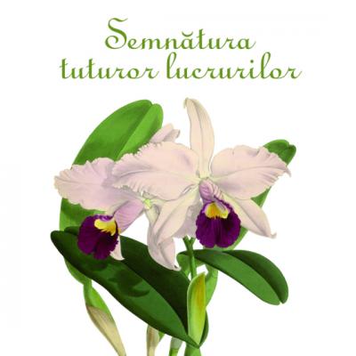 Lansare de carte: Semnatura tuturor lucrurilor