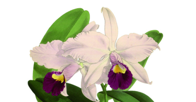 Lansare de carte: Semnatura tuturor lucrurilor