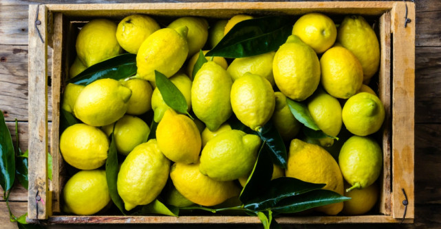 Cum slabesti cu ajutorul lamailor?