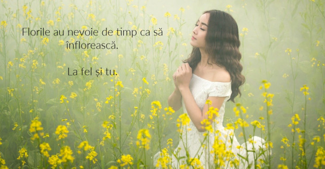 Imagini cu flori. Natura are cea mai bună cutie de culori 