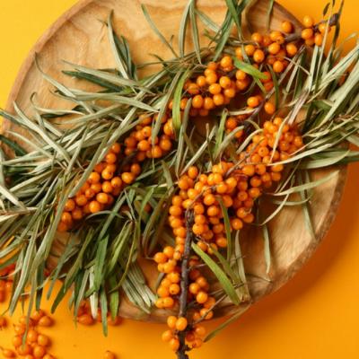 Când se culege cătina?