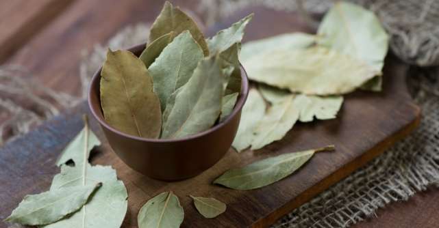 Beneficiile incredibile ale frunzelor de dafin. Se poate face si ceai din ele