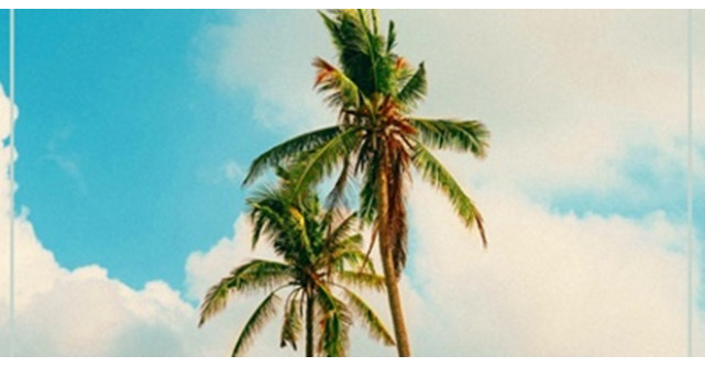 DJ SAVA colaborează pentru prima dată cu BiBi și lansează Dalida