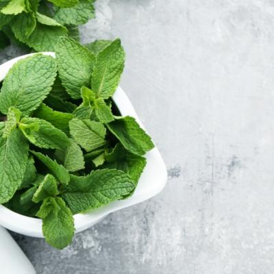 Menta, planta care nu ar trebui să lipsească din casă