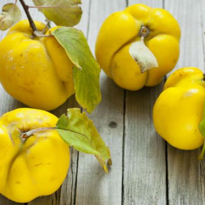 Beneficiile gutuilor pentru sanatate. Ce vitamine contin