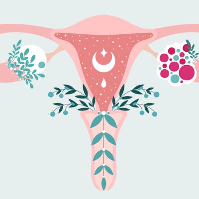 Torsiunea ovariană: cauze și tratament