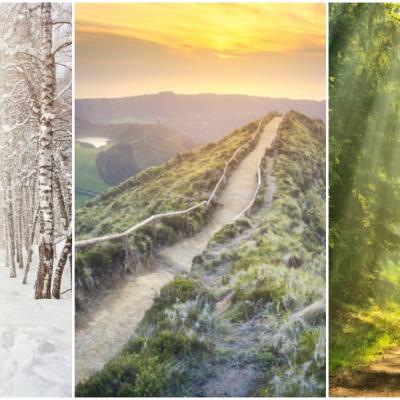 Alege o carare si afla ce iti rezerva destinul în 2020