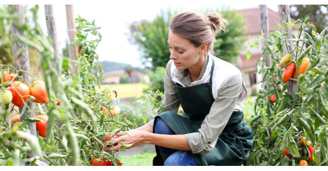 Sotia si-a rugat sotul sa o ajute in gradina. Raspunsul lui? Nu pot sa cred!