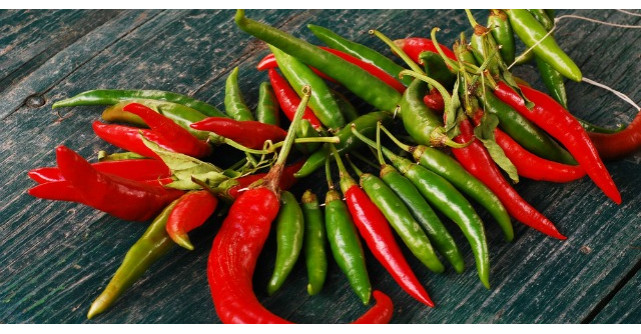 Ardeii iuti, un miracol al naturii. Cum sa-i utilizezi ca medicament