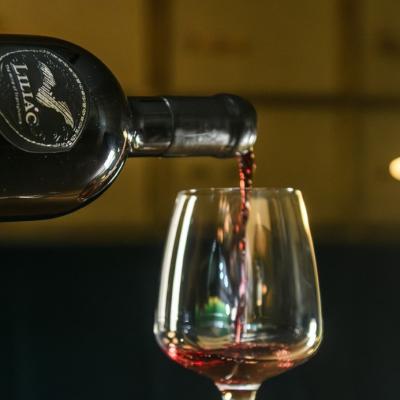 După o pauză de 5 ani, Crama Liliac a dezvăluit noua ediție a vinului TITAN, în cadrul unui eveniment exclusivist, la The Vault