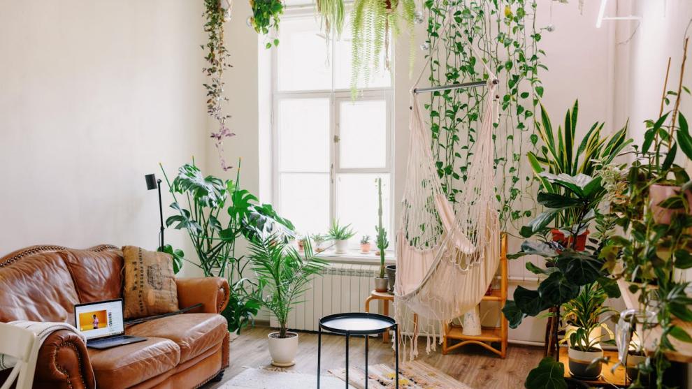 Verde viu care vindecă: Plantele de apartament care transformă și purifică energia casei