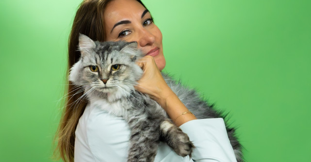 LIDERII DE AFACERI DIN RAS AL KHAIMAH SUSȚIN BUNĂSTAREA ANIMALELOR FĂRĂ STĂPÂN PRIN ACȚIUNI CONCRETE