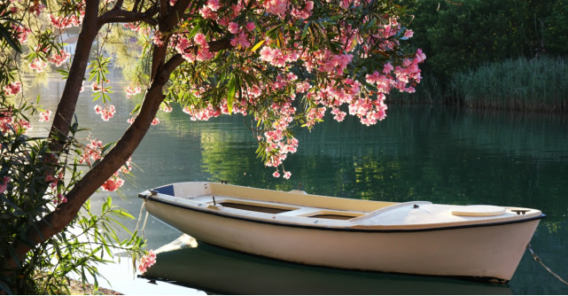 Peisaje și citate de primăvară emoționante