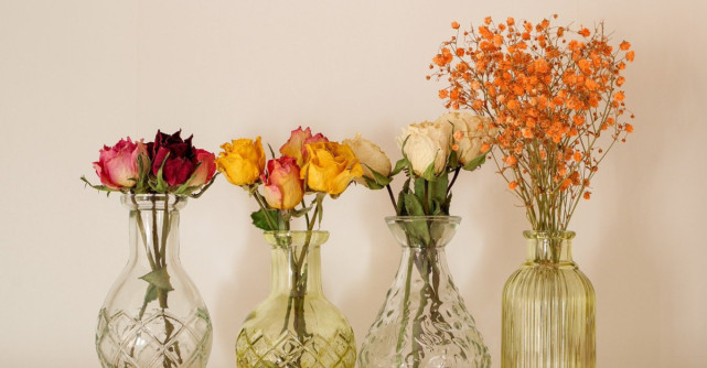 Cum uscăm trandafirii? Află ce metode există pentru a putea păstra trandafirii pentru totdeauna