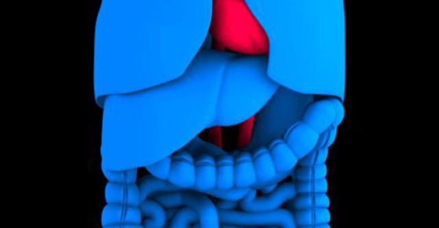 Ficat gras sau hepatita? 5 Alimente recomandate