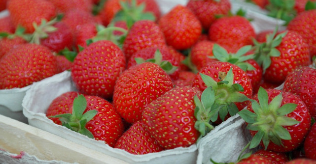 Capsunile: 10 beneficii uimitoare pentru sanatate si frumusete