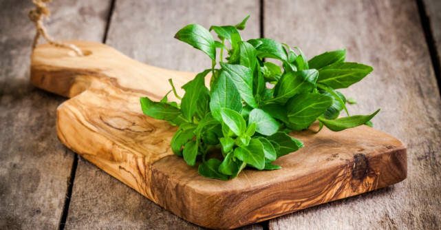 Busuiocul - planta magică. Tu ştii ce beneficii are?