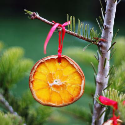 Workshop de Foodie Christmas Decorations