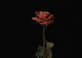 Mario Fresh continuă călătoria muzicală cu Floarea Mea, cea de a doua piesă de pe primul său EP
