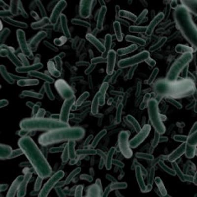 Totul despre boala de care sufera Steve Jobs