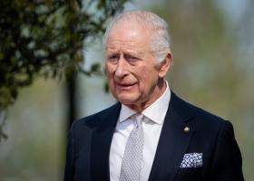 Regele Charles, în centrul unui scandal diplomatic neobișnuit. De ce i s-a cerut să returneze doi cai primiți cadou din Ungaria