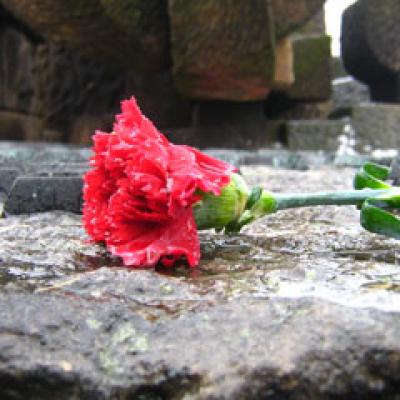 Depresia ca boala si nu ca moft!